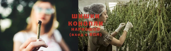 прущие крисы Баксан