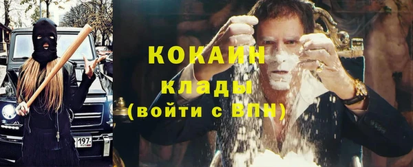 ПСИЛОЦИБИНОВЫЕ ГРИБЫ Балахна