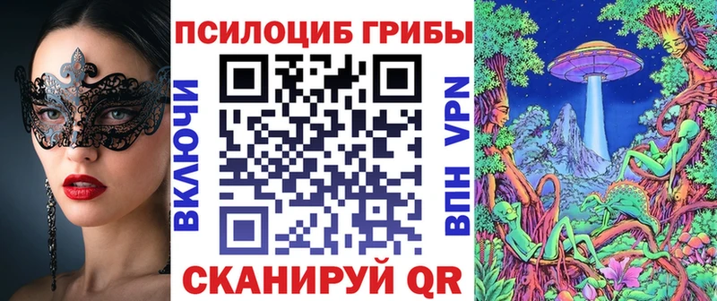 блэк спрут ссылка Мглин Галлюциногенные грибы GOLDEN TEACHER